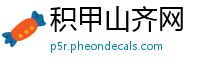 积甲山齐网